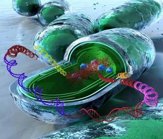 生物制造 合成生物学与定制生物制品的未来图景