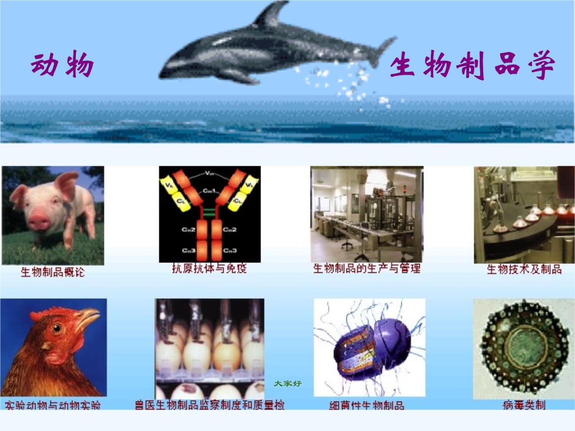 生物制品概论 从概念到应用的系统性解析